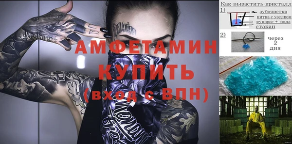 амф Ладушкин