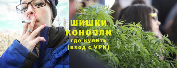 амф Ладушкин