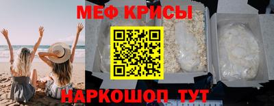 стафф Кингисепп