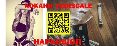 стафф Кингисепп