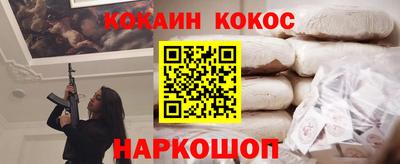 стафф Кингисепп