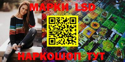 стафф Кингисепп