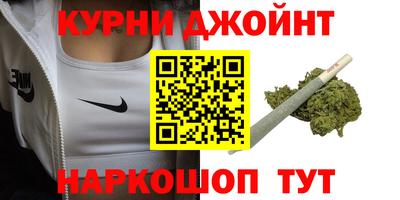 стафф Кингисепп