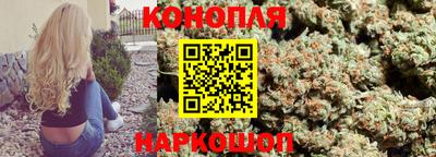 стафф Кингисепп