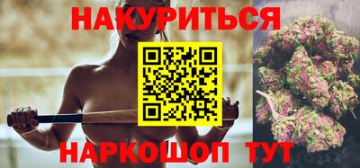 стафф Кингисепп