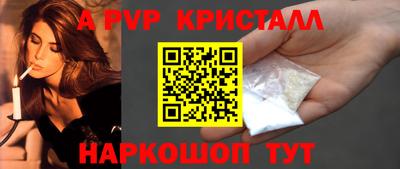 стафф Кингисепп
