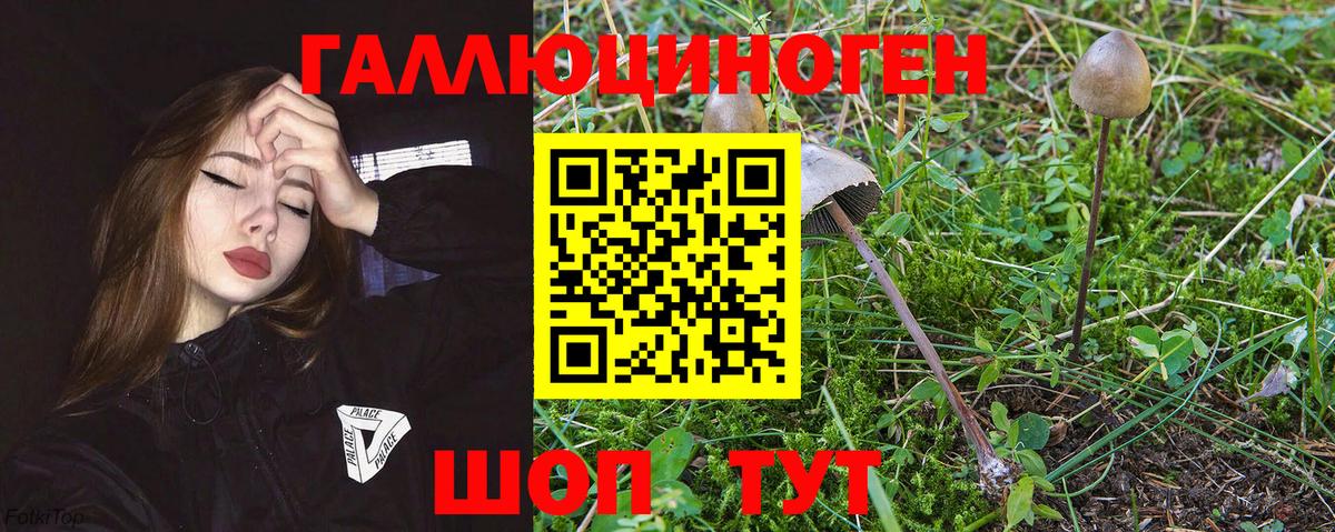 Псилоцибиновые грибы Magic Shrooms Краснокамск