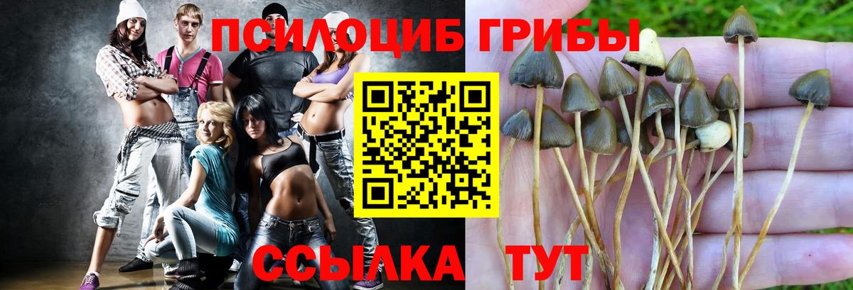 Галлюциногенные грибы ЛСД Краснокамск