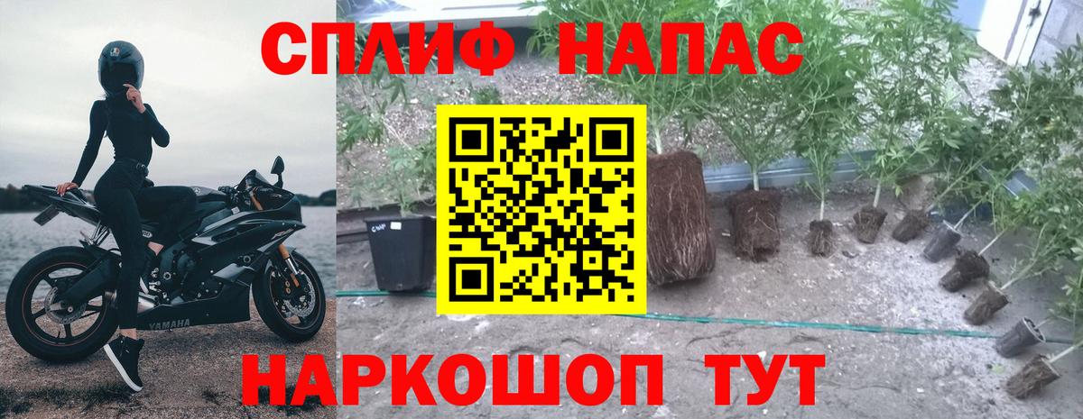 Бошки марихуана план  Бошки Шишки планчик  Краснокамск  Вход с VPN  Канабис THC 21% 